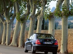 Czarny, Mercedes