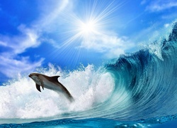 Delfin, Fala, Słońce