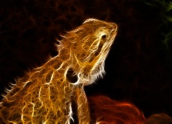 Agama, Wektorowa