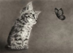 Kotek, Motyl