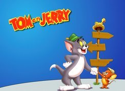 Tom i Jerry