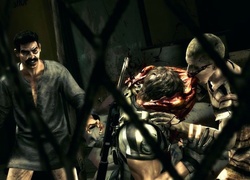 Resident Evil 5, Walka