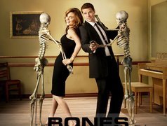 Serial, Kości, Bones, David Boreanaz, Emily Deschanel, Szkielety