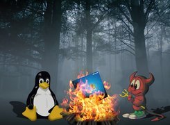 Linux, Kontra, Windows