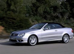 Mercedes, W209