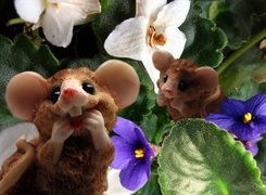 Myszki, Kwiaty