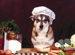 Pies, Kucharz, Warzywa