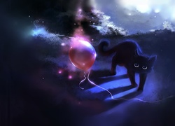 Kot, Balon