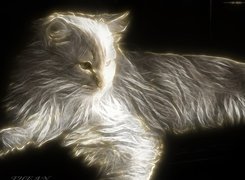 Kot, Fractalius