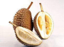 Duriany, Owoce
