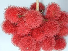 Rambutan, Owoce