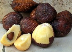 Salak, Owoce