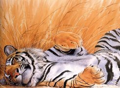 Tygrys, Odpoczynek, Grafika