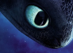 Jak wytresować smoka, How to Train Your Dragon, Smok, Nocna Furia