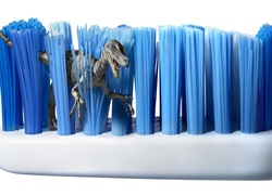Szczoteczka, Mały, Dinozaur