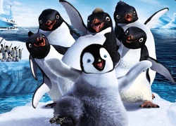 Tupot małych stóp, Happy Feet