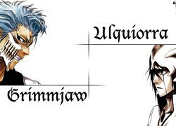 Arrancar, Grimmjow, Ulquiorra