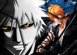 Kurosaki, Hollow