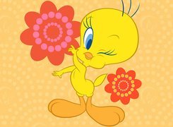 Tweety, Oczko