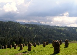 Bukowina Tatrzańska