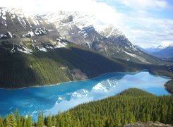 Kanada, Park Narodowy Banff, Góry Canadian Rockies, Jezioro Peyto Lake, Lasy