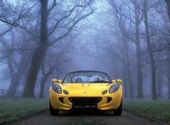 Żółty, Lotus Elise, Przód