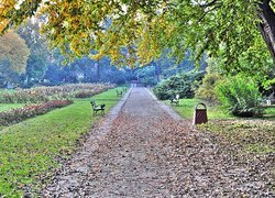 Park, Legnica