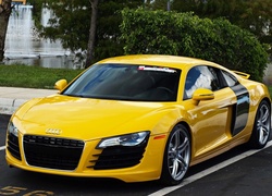 Audi R8, Fontanna