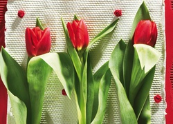 Kompozycja, Kwiaty, Tulipany