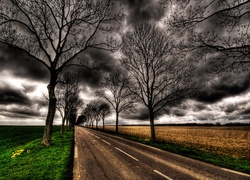 Droga, Ciemne, Chmury, Drzewa
