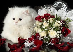 Biały, Kot. Wiązanka, Róż
