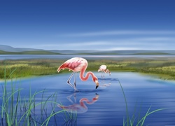 Jezioro, Dwa, Flamingi, Grafika 2D