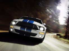 Shelby, Ford Mustang