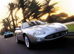 Jaguary XKR, Palmy