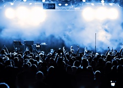 Koncert, Fani, Muzyka