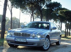 Jaguar X-Type