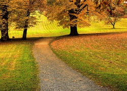 Droga, Jesień, Drzewa