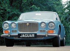 Jaguar, Zabytek
