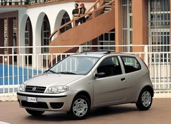 Samochód, Fiat Punto Active