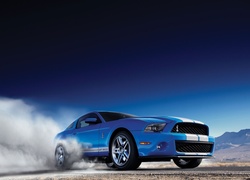 Ford Mustang Shelby GT 500