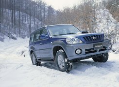 Niebieski, Hyundai Terracan, Zima