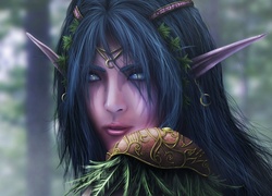 World Of Warcraft, Nocny Elf