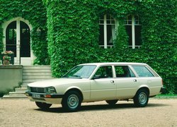 Peugeot 505 Break GL