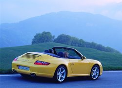 Porsche 911 Carrera 4