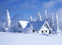 Zima, Śnieg, Dom