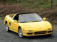 NSX TARGA