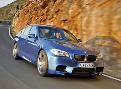 BMW 5, Model F10