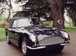 Aston Martin DB6, Volante