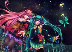 Miku, Luka