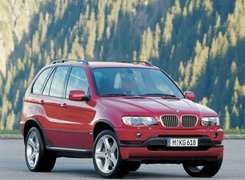 BMW X5, Relingi, Dachowe